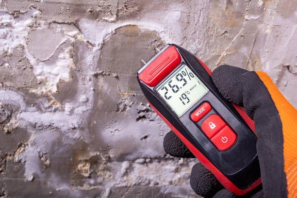 Best Mold Remediation for Specific Building Types in Duncan, SC