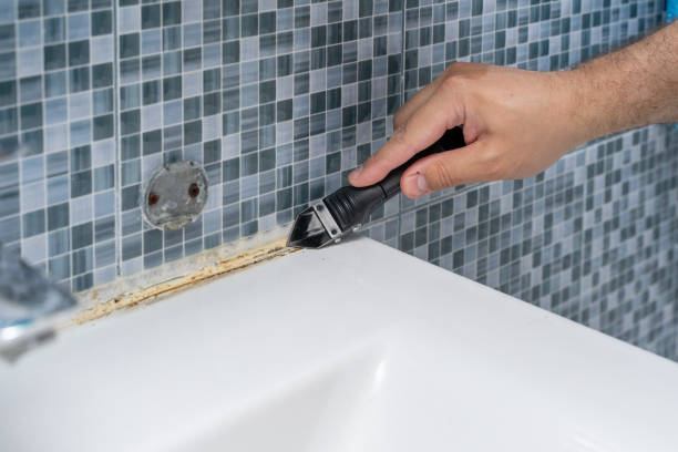 Best Black Mold Remediation in Duncan, SC